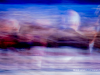 Frank-Baquet-Inauguration-2021_1