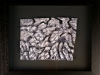 Kunstvermittlung Klement, Kirsten Framing, Beschattet, 1 von 2, 29x35x4,5cm