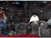 Krzysztof Gruse: ohne Titel, 140x200cm