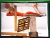 Kunstvermittlung Klement, Parzival, Beschlagung, Foto Parzival