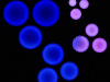 Przemek: Dotclock 3.0_5