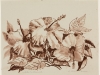 Norbert Munnes – ohne Titel, 48x62 cm, Pastellkreide auf Papier, Verkaufspreis: 60,-€